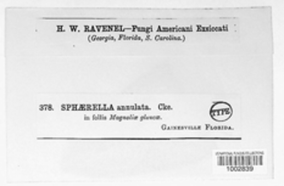 Mycosphaerella annulata image